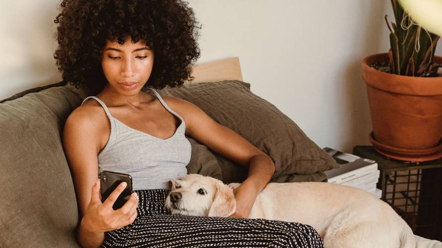 Forsikring til hund og katt - KLP.no